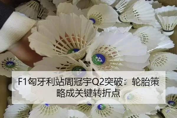 xiong-ya-li-zhan-zhou-guan-yu-tu-po-lun-tai-ce-lve-cheng-guan-jian-zhuan-zhe-dian-2-998.jpg