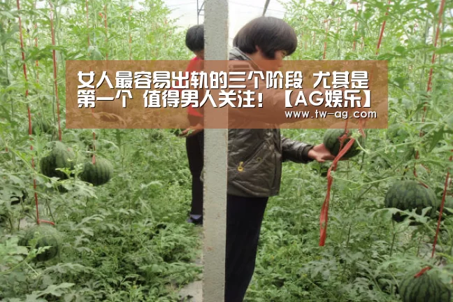 AG官方
