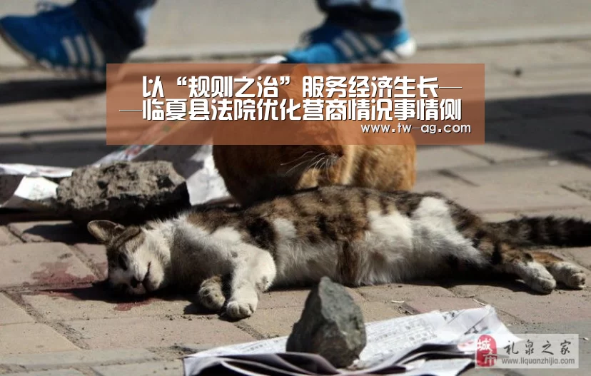 AG娱乐